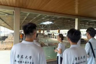 鲁东大学学子三下乡：深入高青县开展乡村振兴成果调研活动