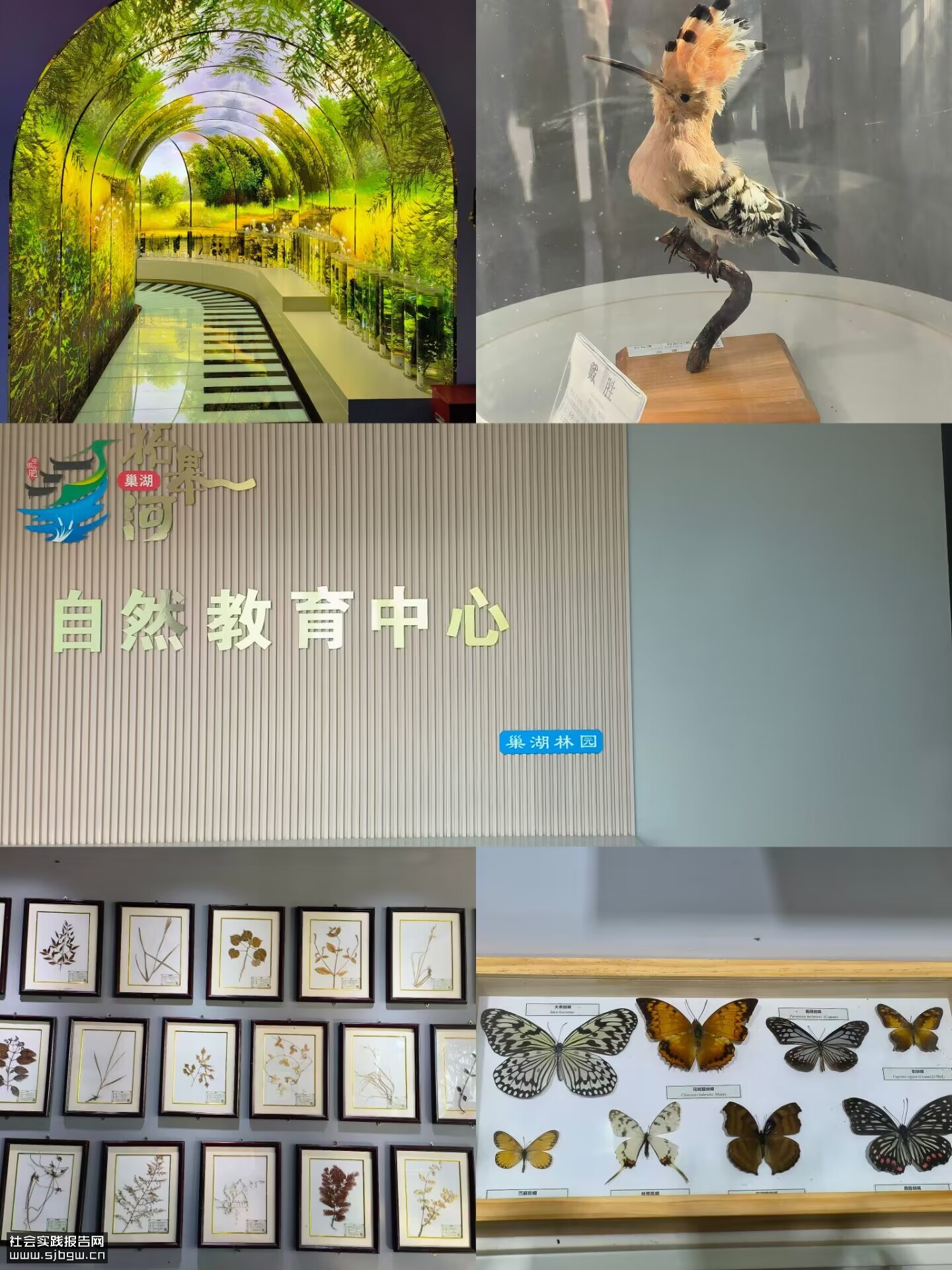 三下乡：地信学院学子开展“赴巢湖市追寻传统足迹”社会实践活动