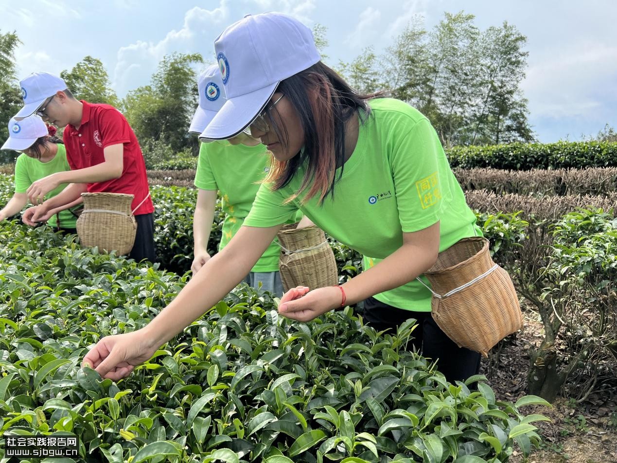 产教融合育人才，领航奋斗新征程——广西民大管院学子赴柳州开展社会实践活动