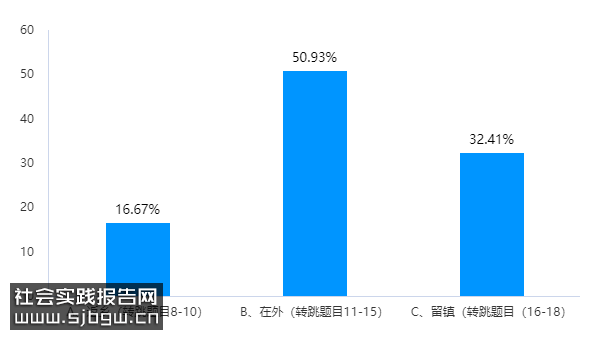 2023年遂溪县北坡镇青年返乡与离乡发展的情况及其原因分析